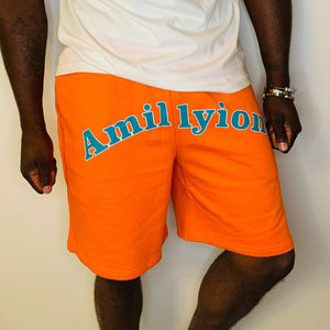 Amillyion Shorts (Miami Dolphins)