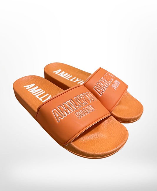 Orange Slides